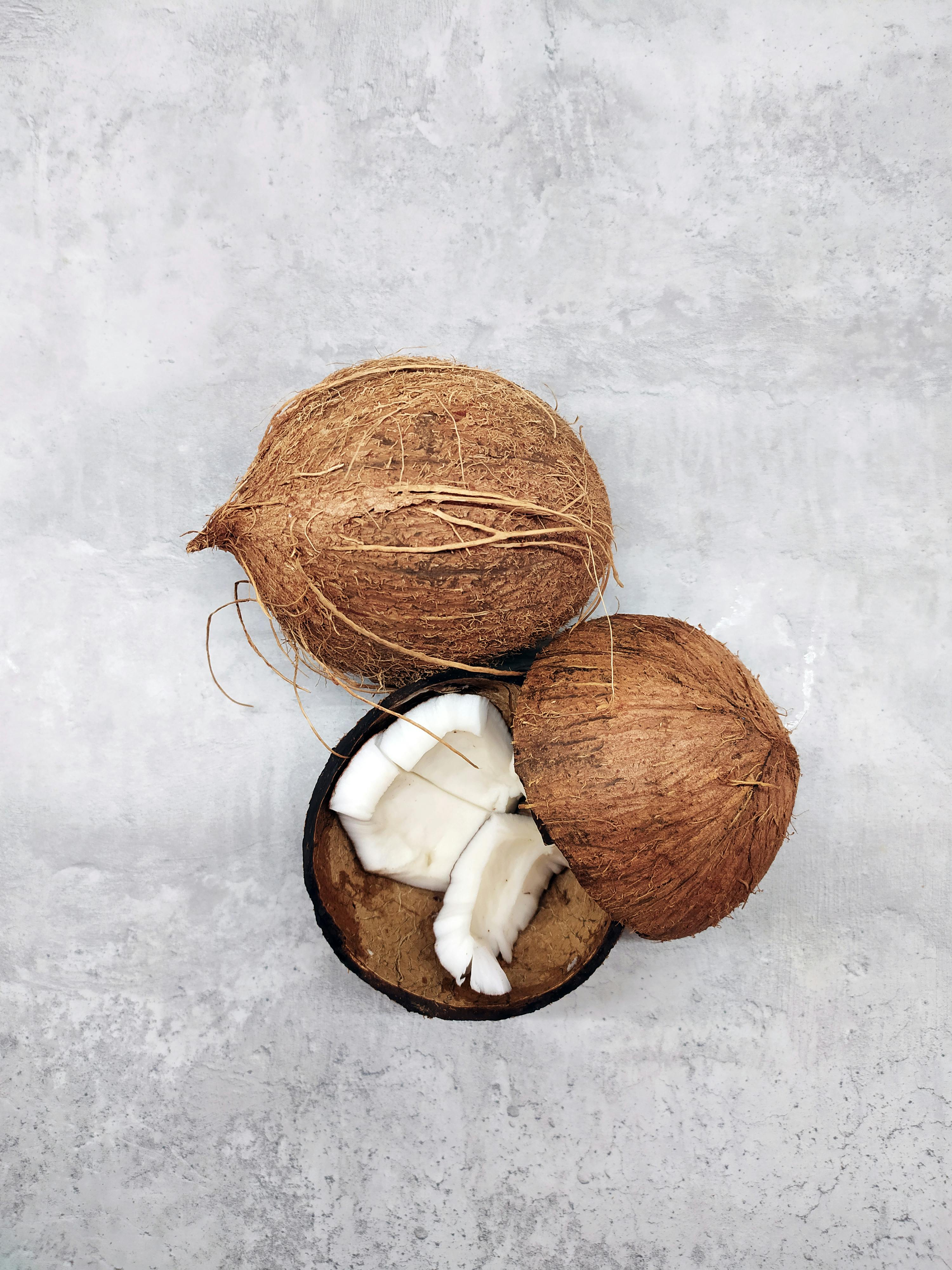Fresh Export Quality Coconut
