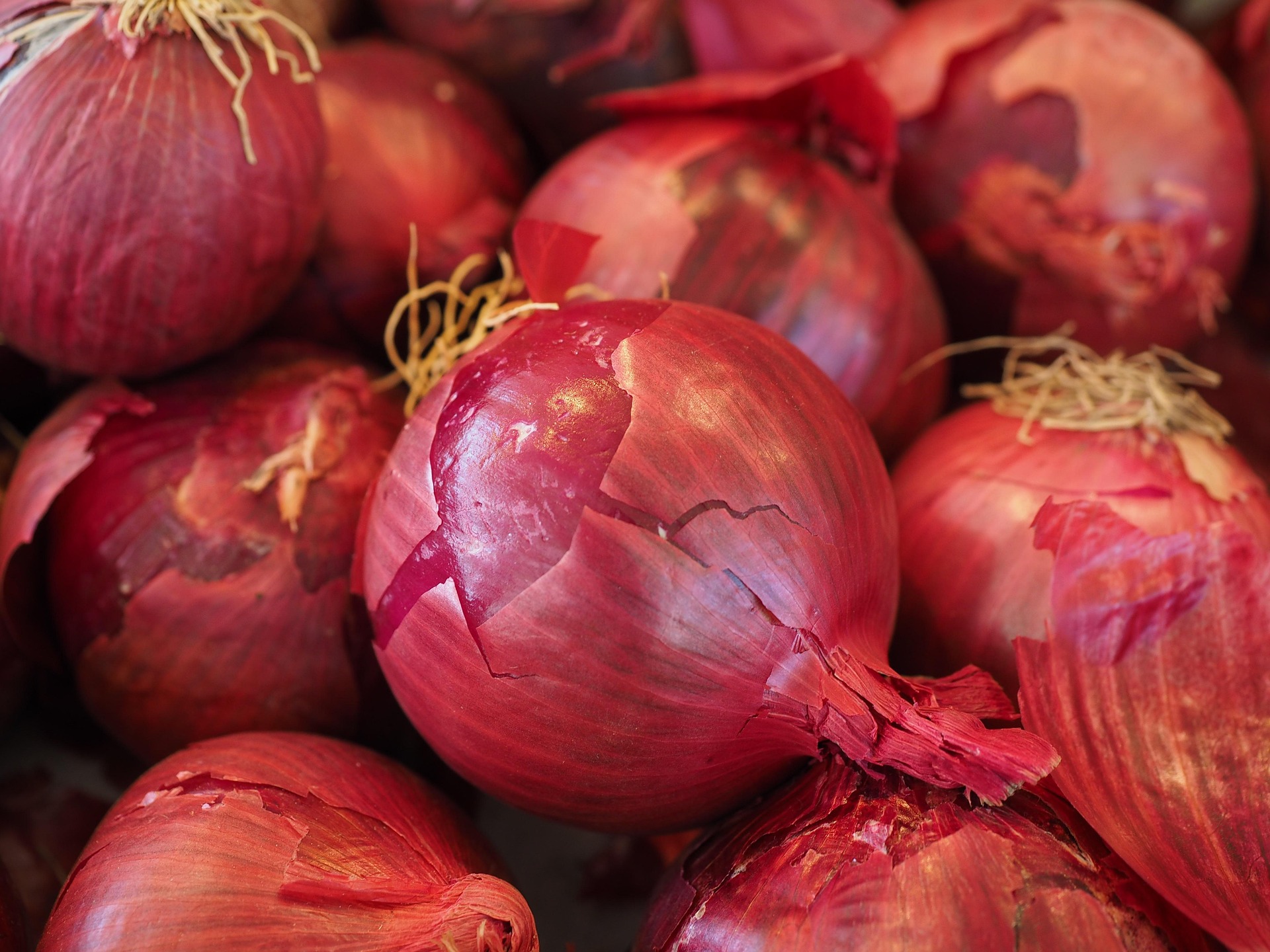 Onion view 2