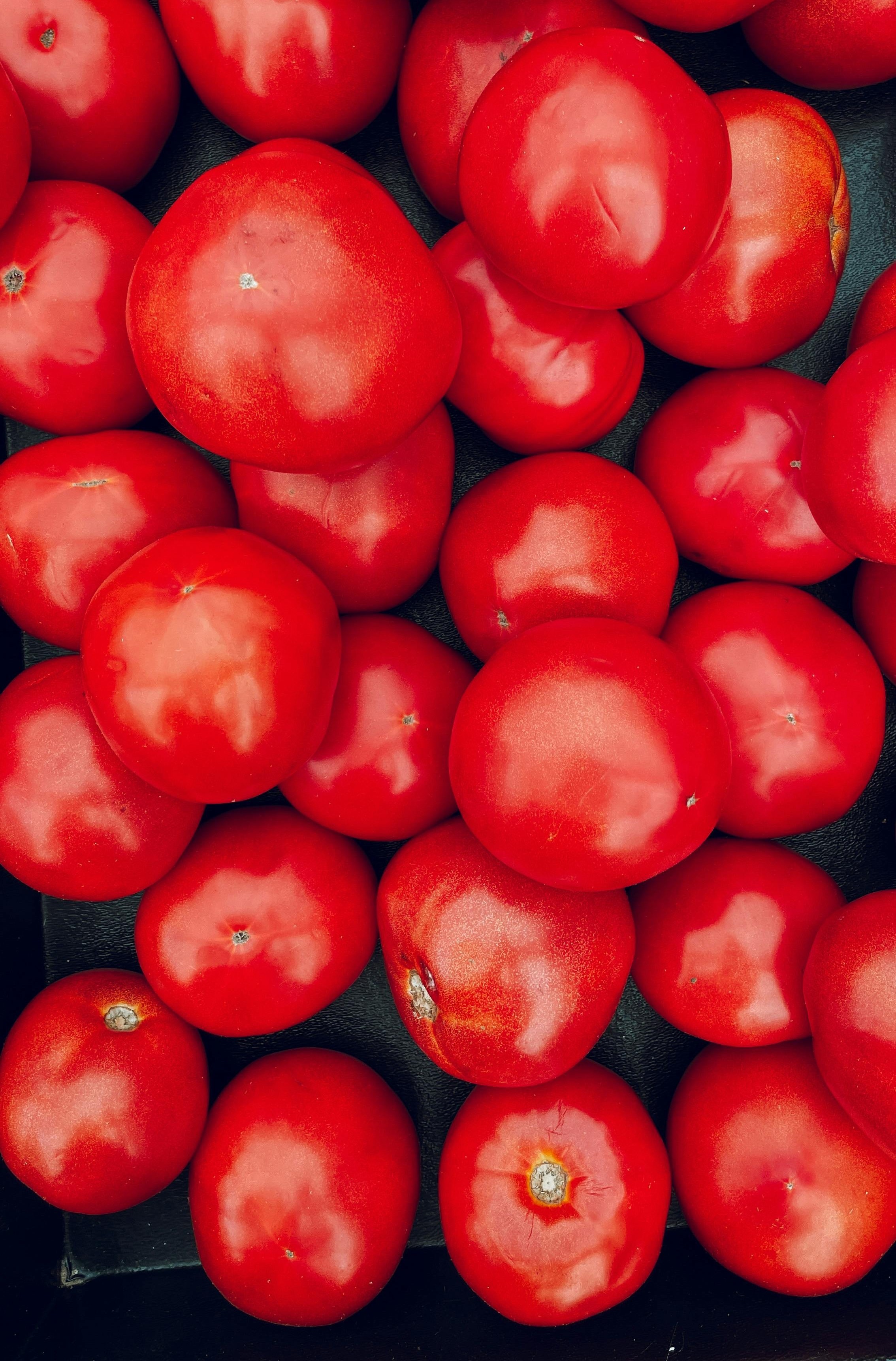 Fresh Red Tomatoes