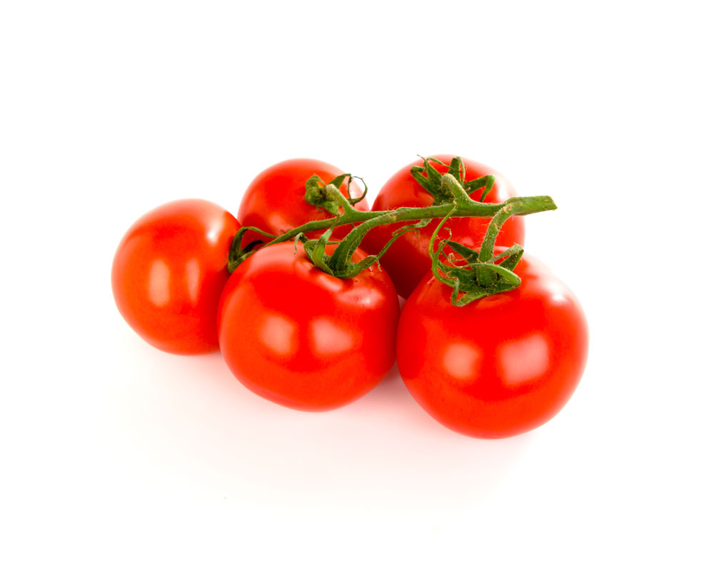 Fresh Export Quality Tomato